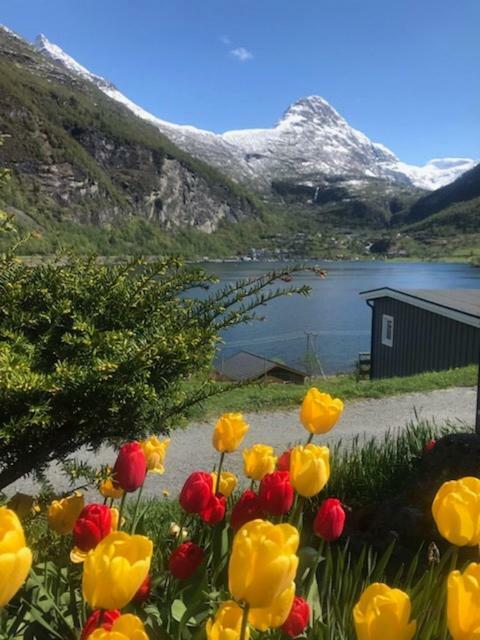 Solhaug Fjordcamping Гейрангер Экстерьер фото